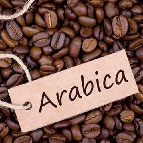 Arabica