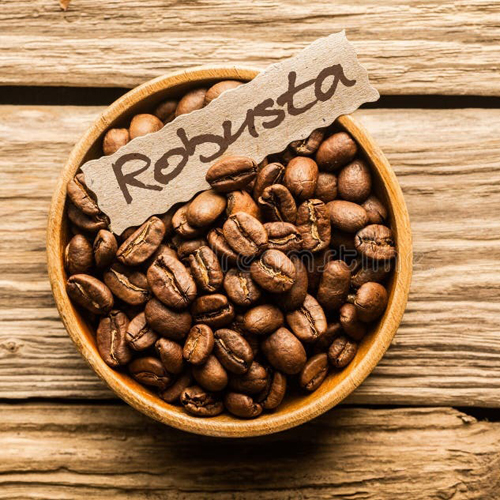 Robusta